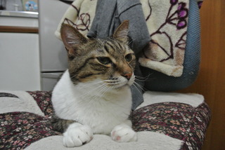 DSC_7573.JPG