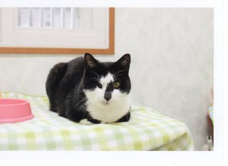若かりし頃のミックス